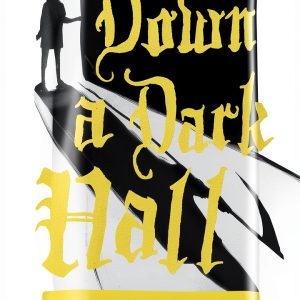 Little, Brown Teen Fantasy eBook Kindle Edition 241 Pages-0