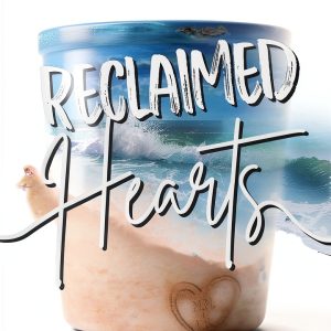Hidden Hearts Book 1 Teen Romance Kindle Edition by Author-0